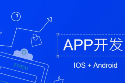 ѡapp˾