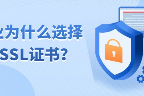ΪʲôѡOV SSL֤飿OV SSL֤ƷƼ