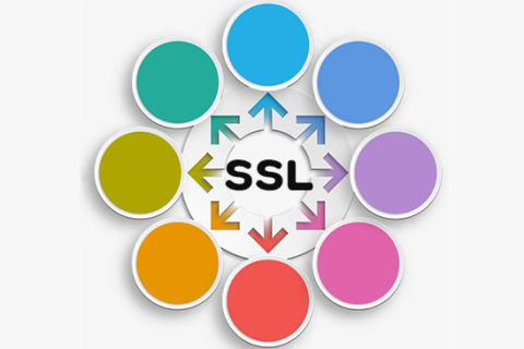 ΪSSL֤۸β룿ӰSSL֤۸