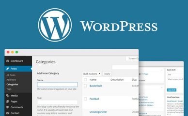ΪʲôѡWordPressվ