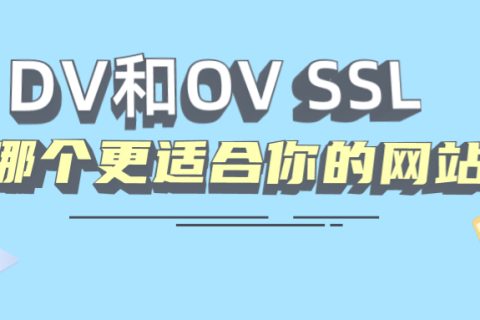 DVOV SSL֤飺ĸʺվ
