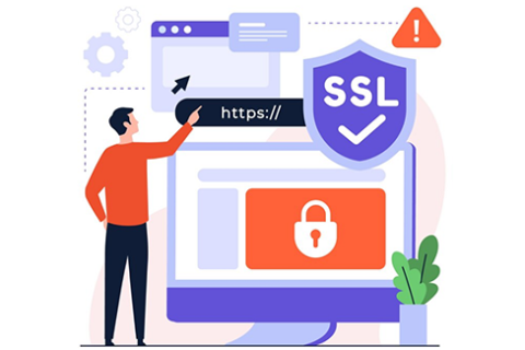 ҪSSL֤