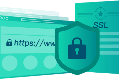 SSL֤͸߼SSL֤飺ȫൽж