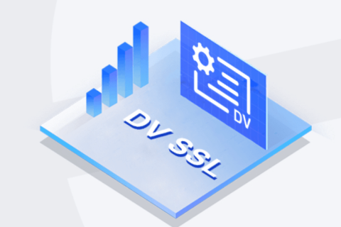 DV SSL֤Щŵȱ㣬㶼֪