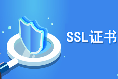 SSL֤飿