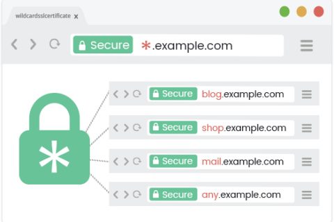 ͨSSL֤ܸվã